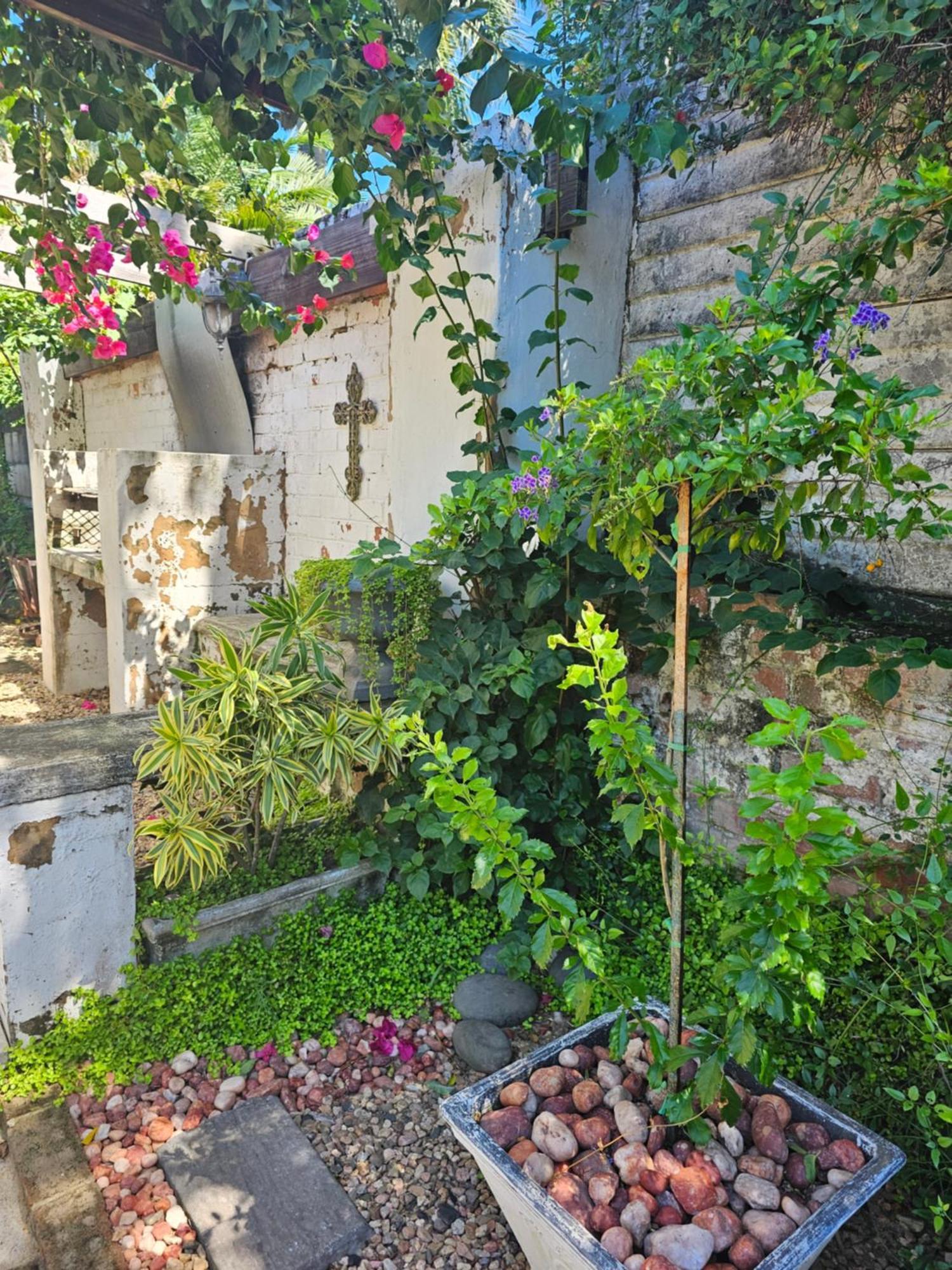 Le'Cottage Скоттбург Экстерьер фото